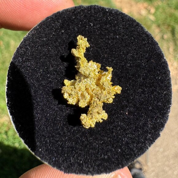 Gold on Quartz Crystal Nugget Specimen - Grass Valley, California - 2.9 - Picture 8 of 8